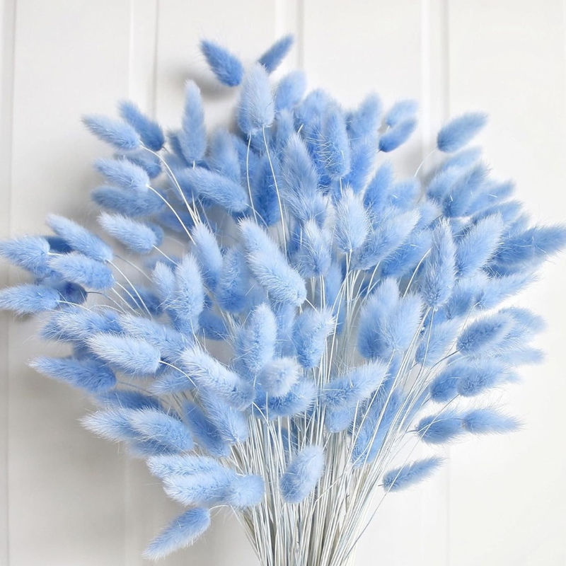 Pampas Grass Decor - 100 Stück blauer Häschen-Schwanz, Gras, Hase,