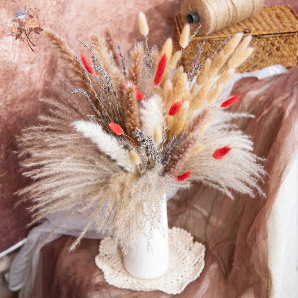 Natürlicher Pampas Lavendel Ge – Pampas Grass Decor Bewertung und Preis