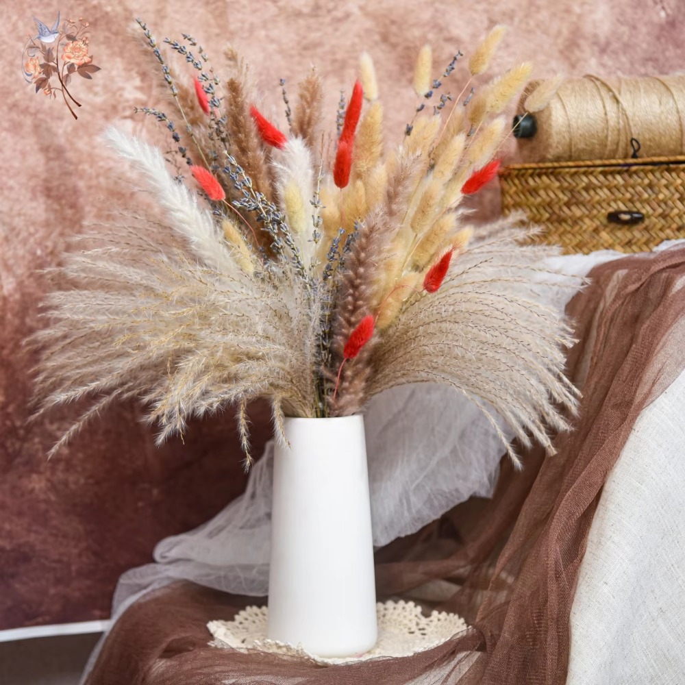 Natürlicher Pampas Lavendel Ge – Pampas Grass Decor Bewertung und Preis