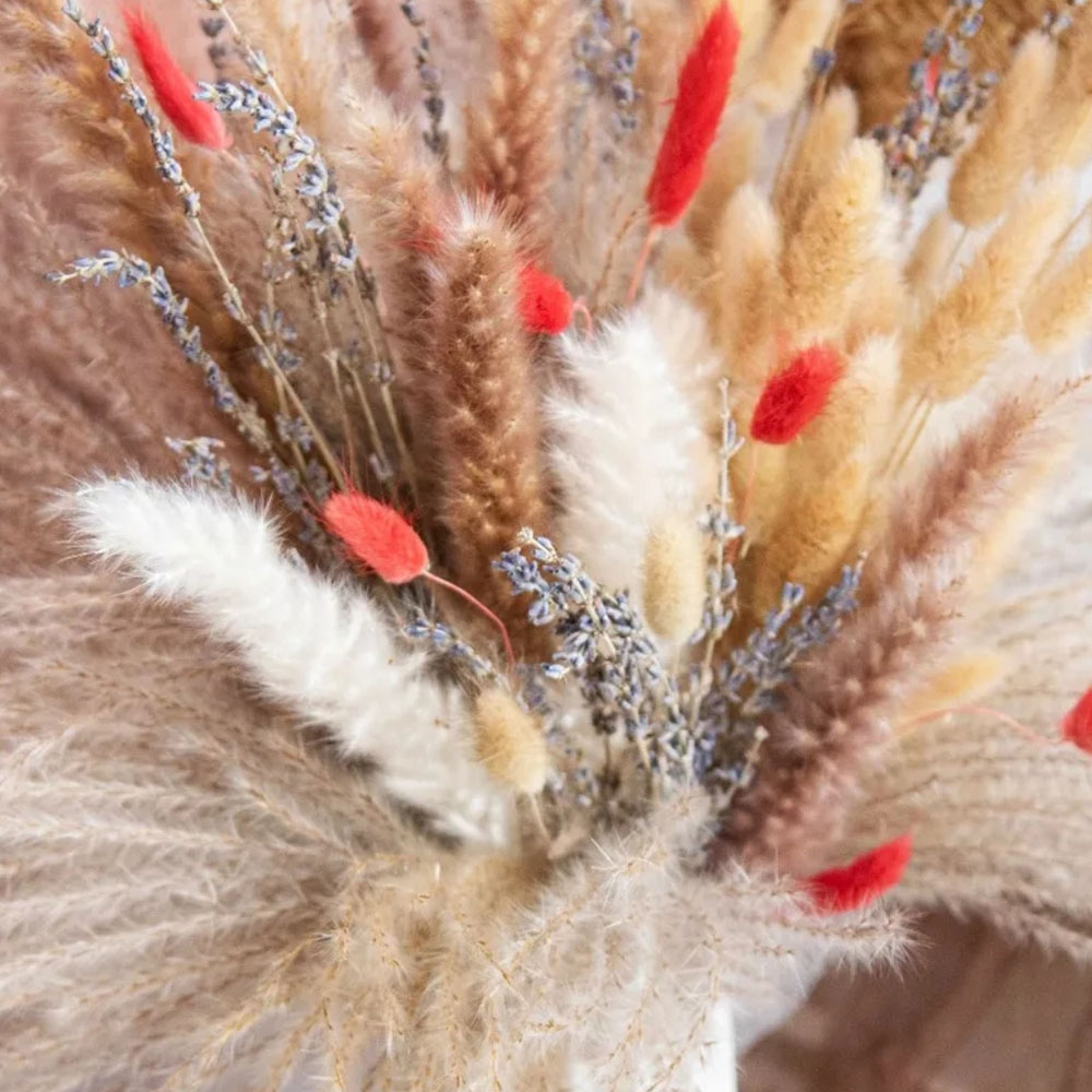 Natürlicher Pampas Lavendel Ge – Pampas Grass Decor Bewertung und Preis