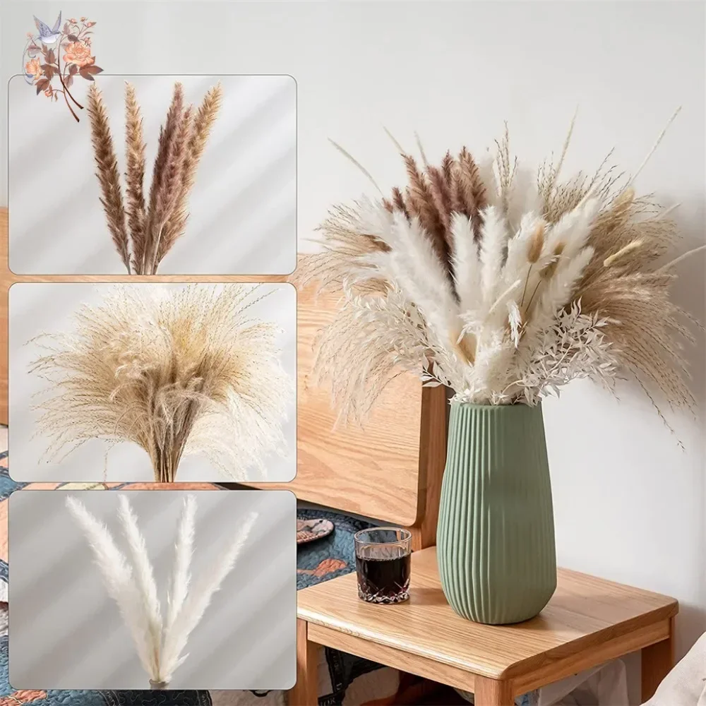 88 Stück Natürliche Flauschige – Pampas Grass Decor Bewertung und Preis