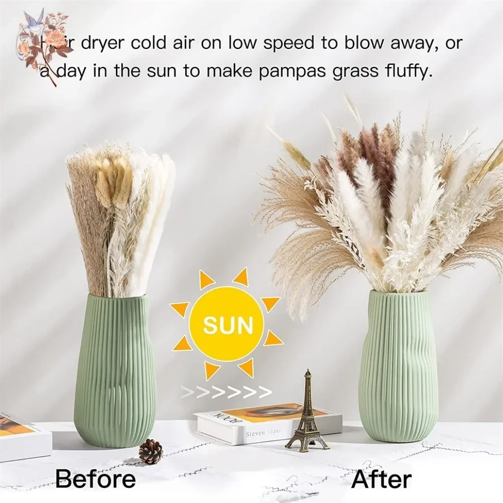 88 Stück Natürliche Flauschige – Pampas Grass Decor Bewertung und Preis