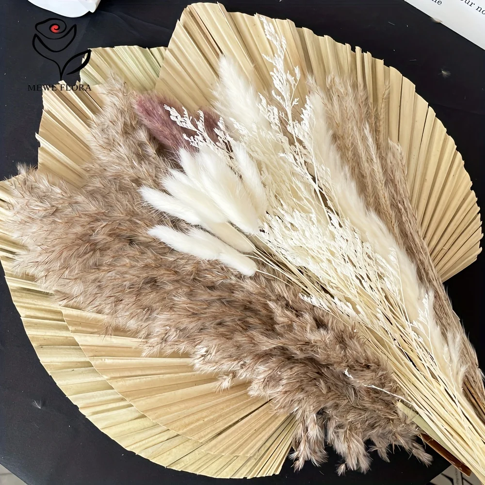 35 Stück natürliches Pampasgra – Pampas Grass Decor Bewertung und Preis