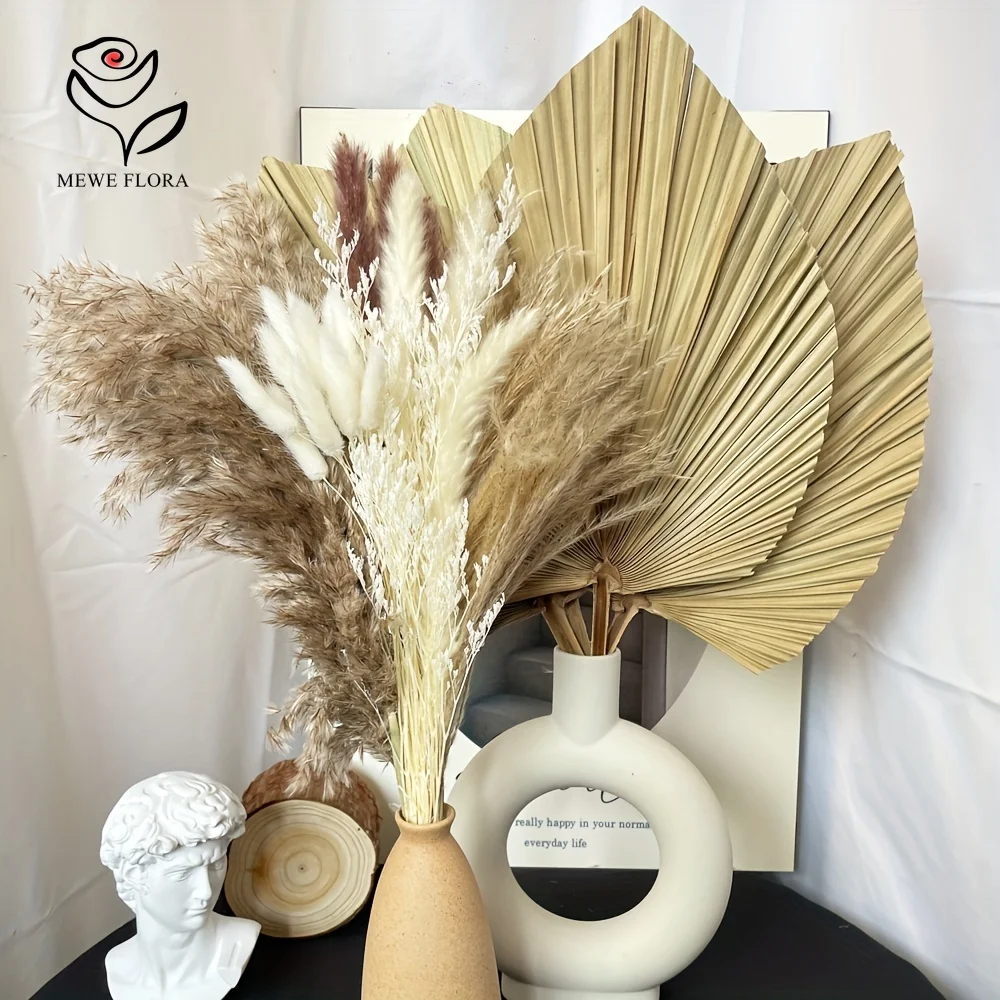 35 Stück natürliches Pampasgra – Pampas Grass Decor Bewertung und Preis
