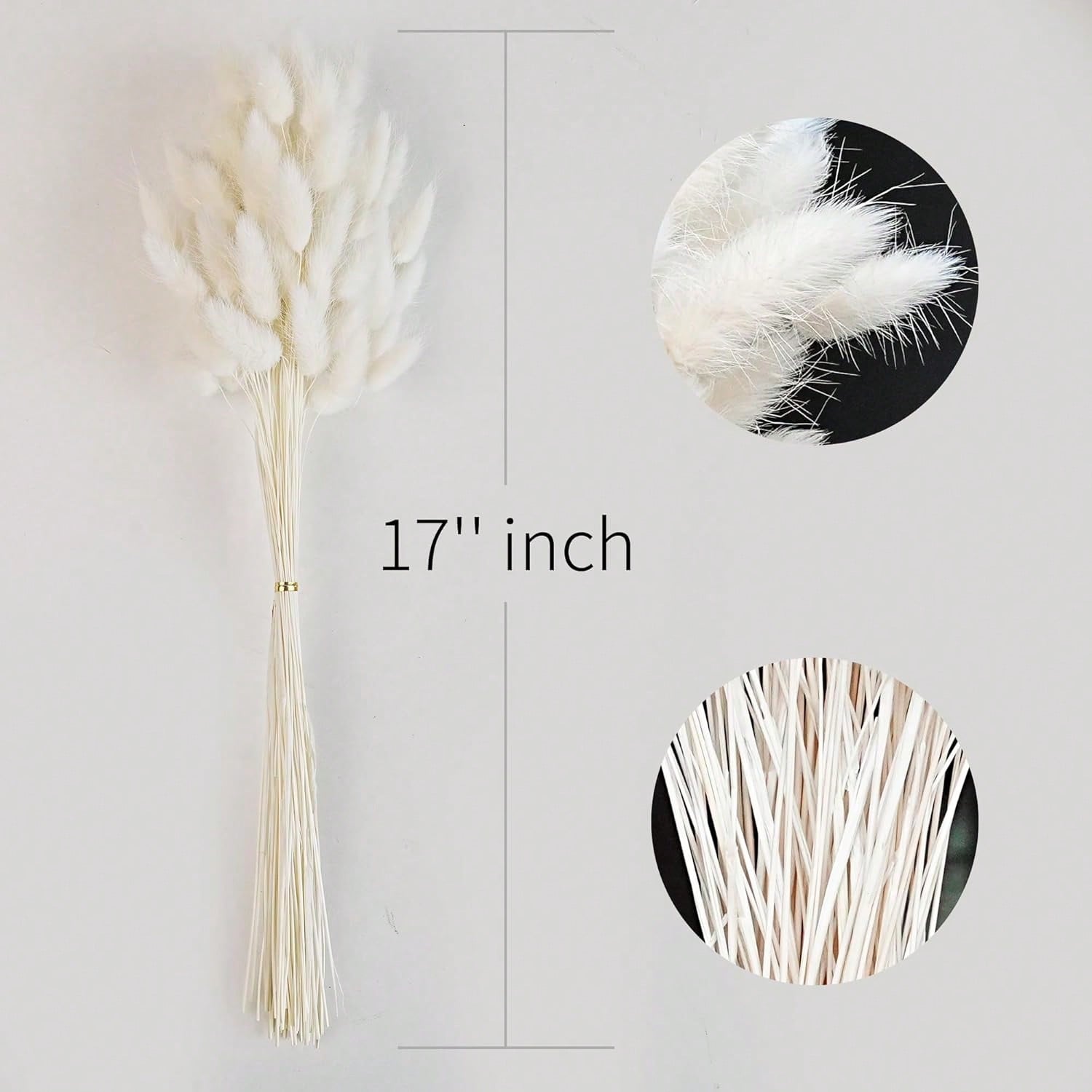 120 Stück getrocknete Pampasgr – Pampas Grass Decor Bewertung und Preis