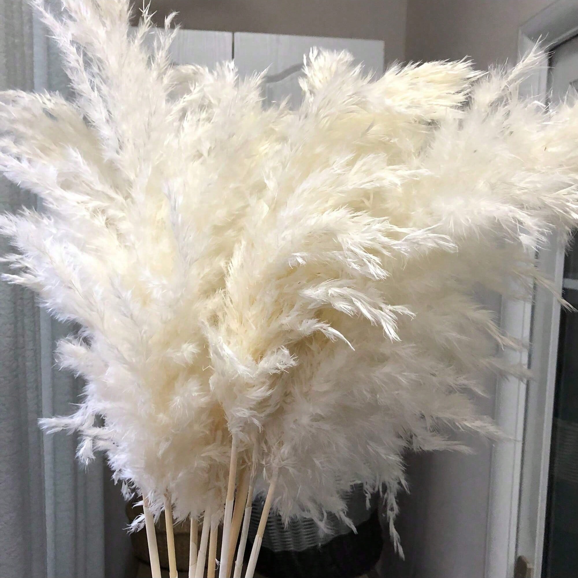 10/20/30 Stück weißes künstlic – Pampas Grass Decor Bewertung und Preis