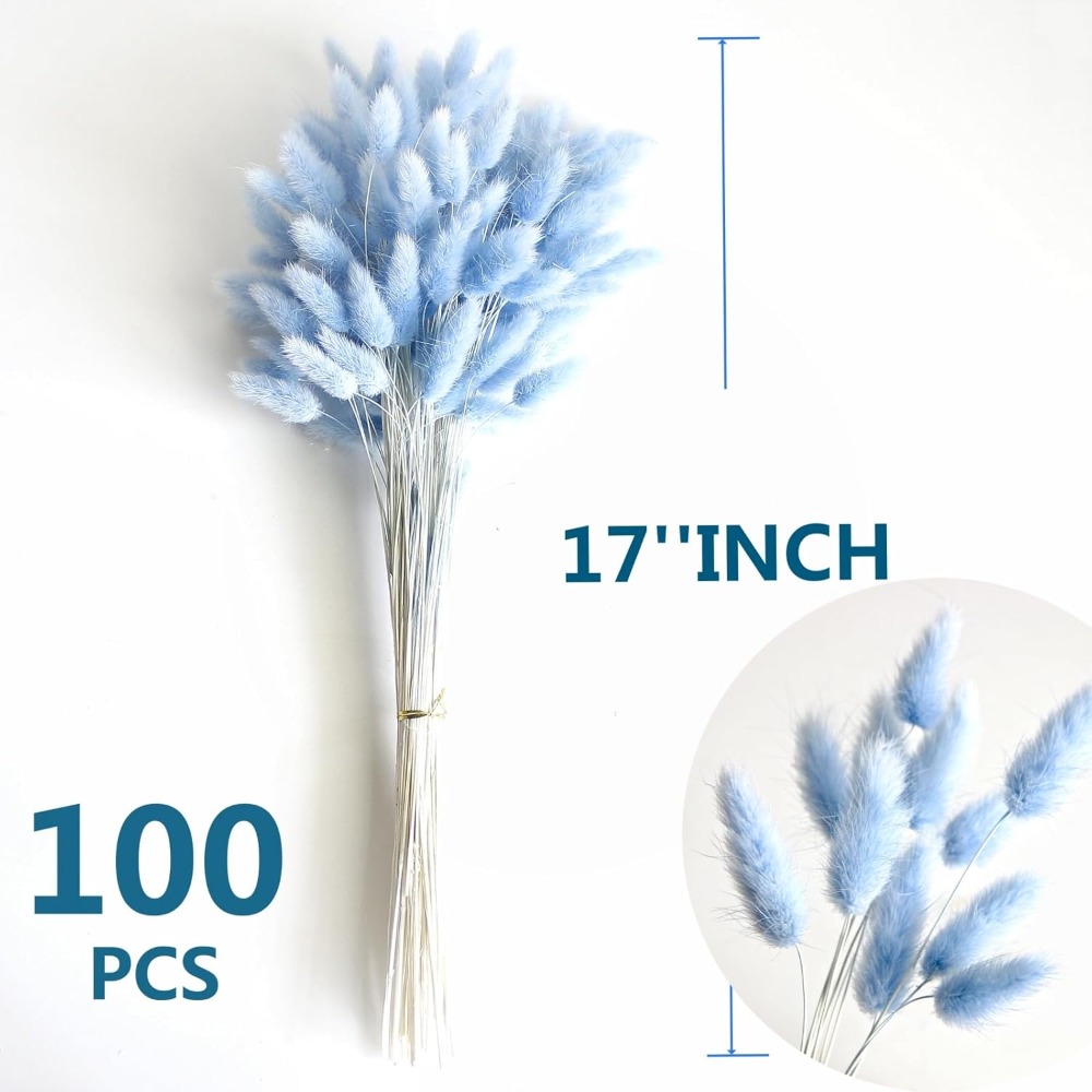 100 Stück blauer Häschen-Schwa – Pampas Grass Decor Bewertung und Preis