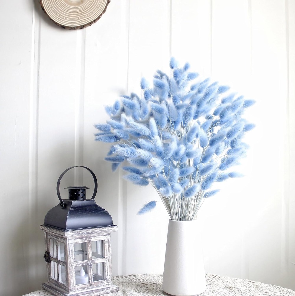 100 Stück blauer Häschen-Schwa – Pampas Grass Decor Bewertung und Preis