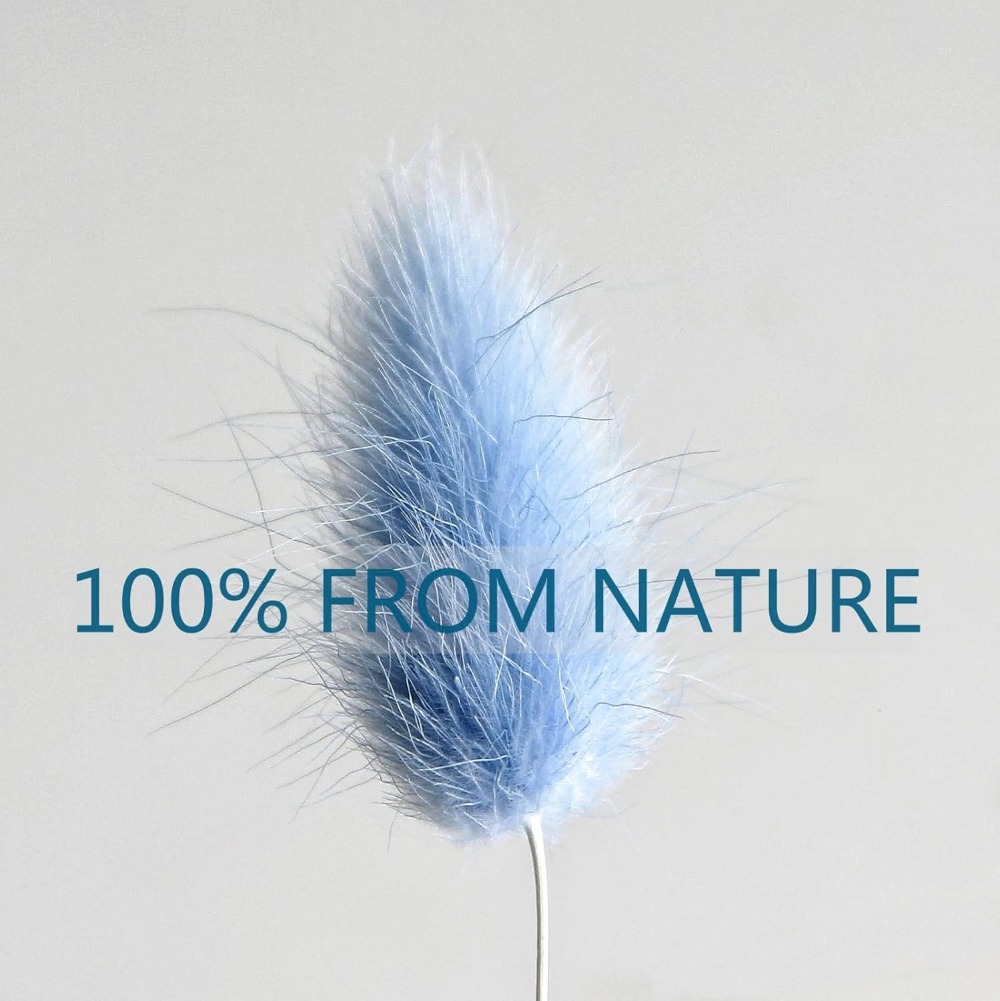 100 Stück blauer Häschen-Schwa – Pampas Grass Decor Bewertung und Preis