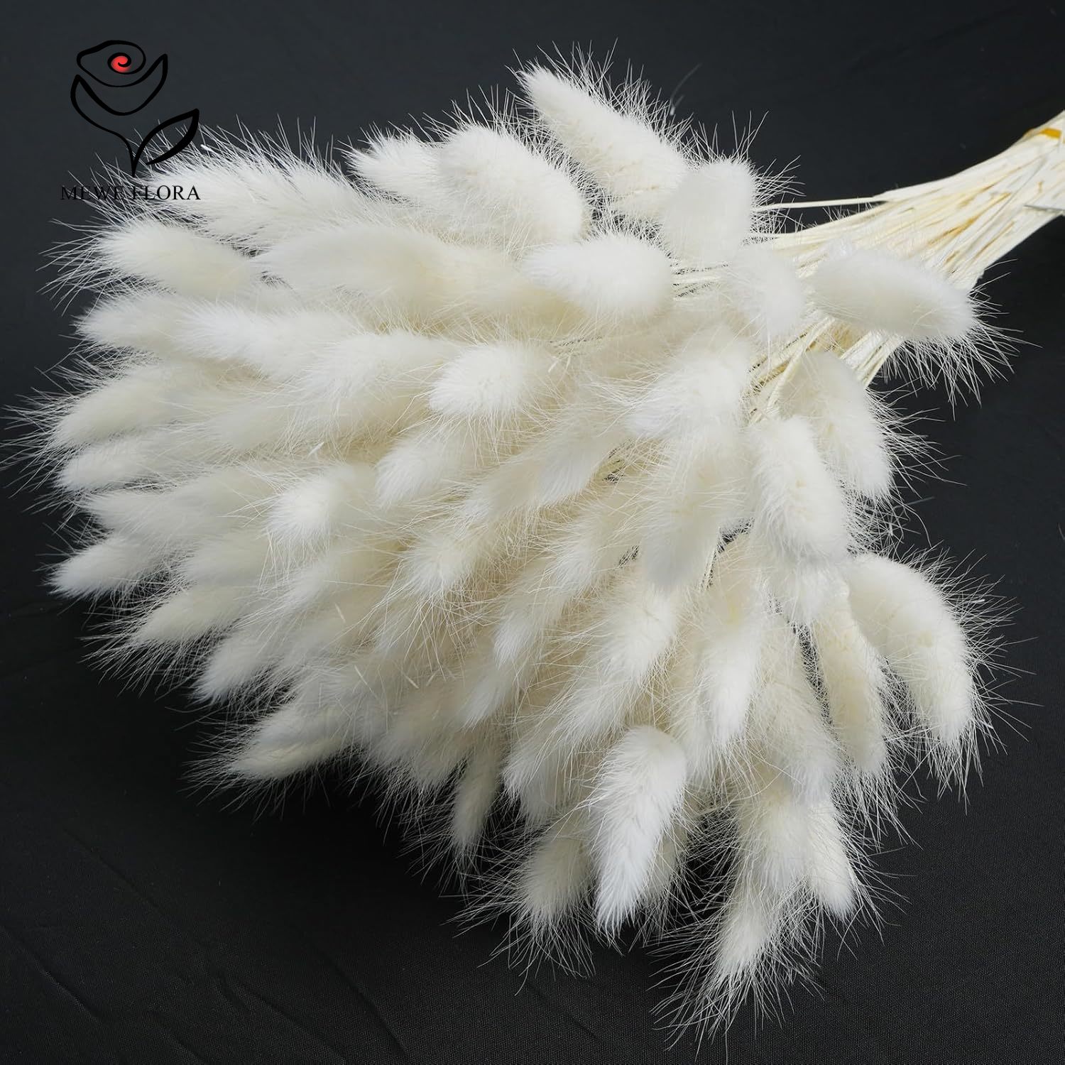 150 Stück weiße, natürliche, f – Pampas Grass Decor Bewertung und Preis