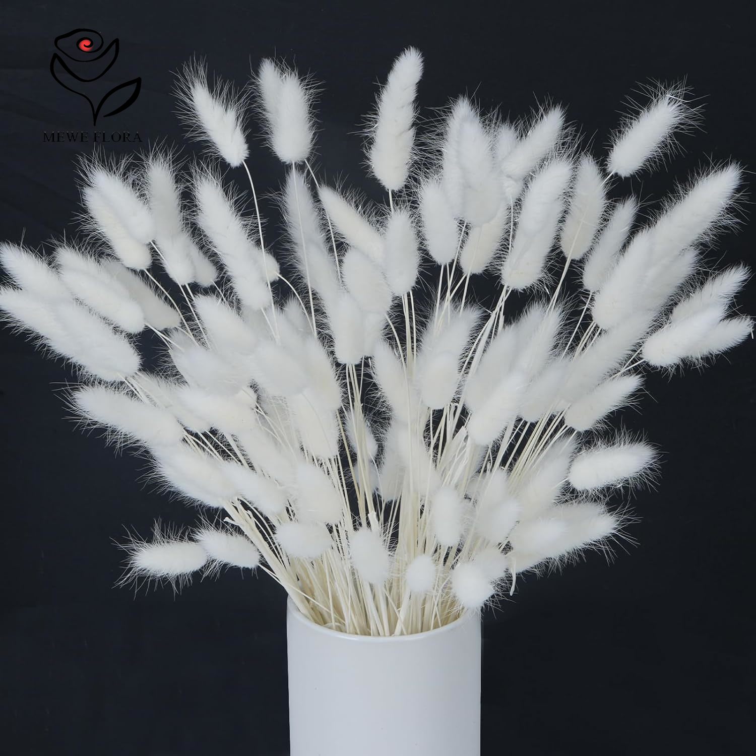 150 Stück weiße, natürliche, f – Pampas Grass Decor Bewertung und Preis