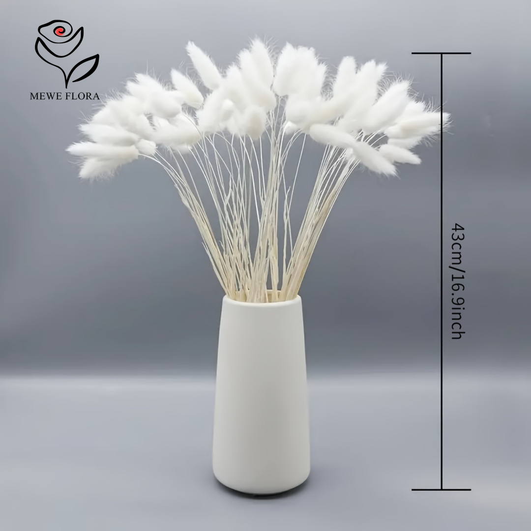 150 Stück weiße, natürliche, f – Pampas Grass Decor Bewertung und Preis